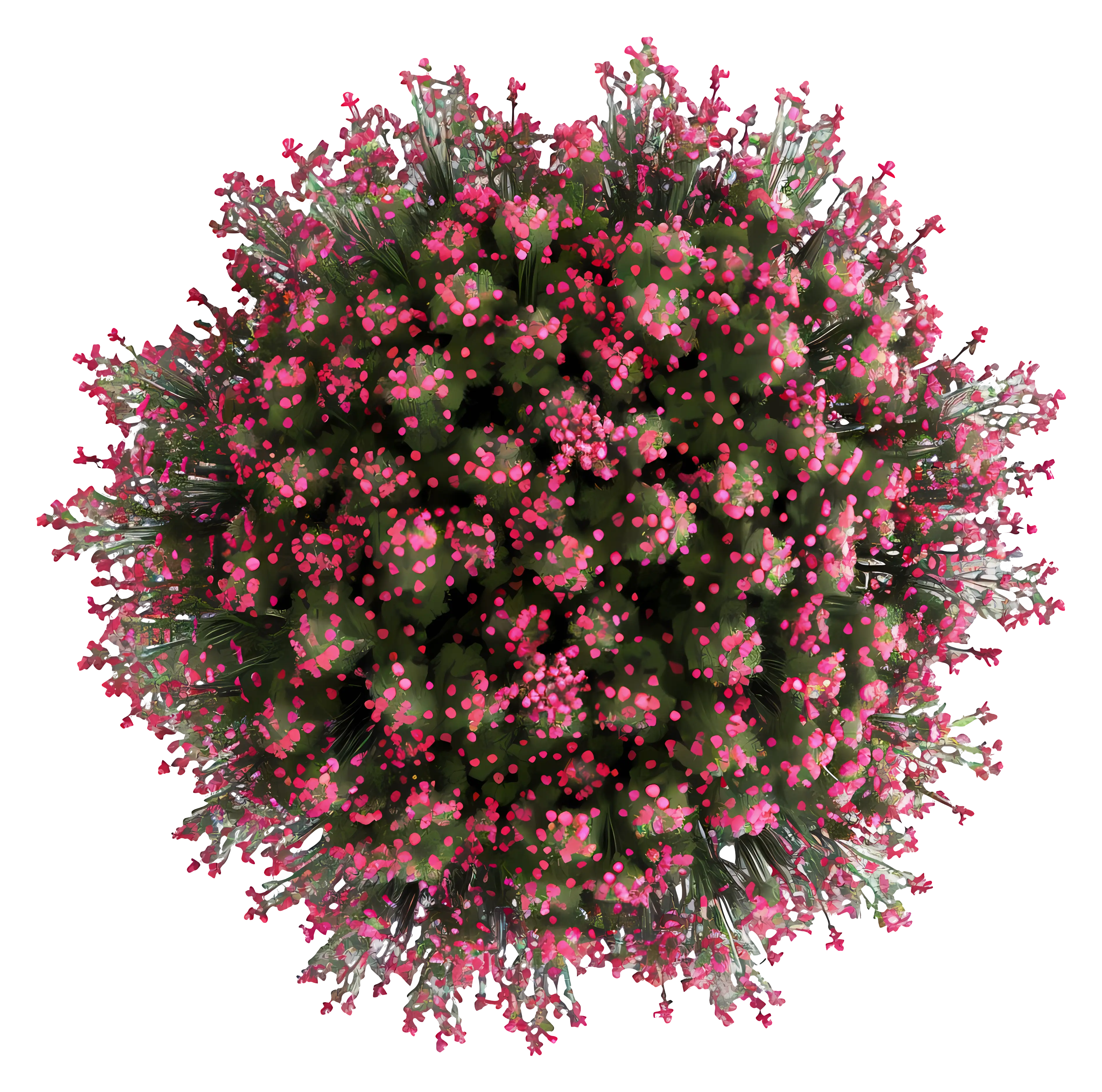 Pink Floral Bush Illustration
