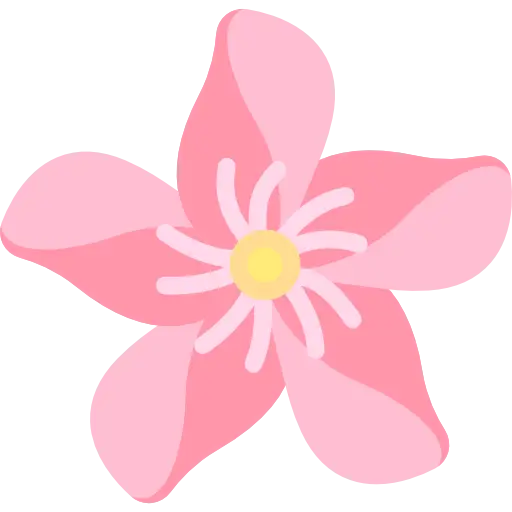 Pink Flower Illustration