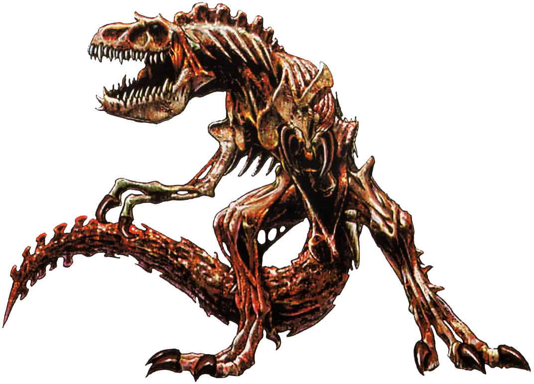 Illustrated Dinosaur Skeleton Fossil