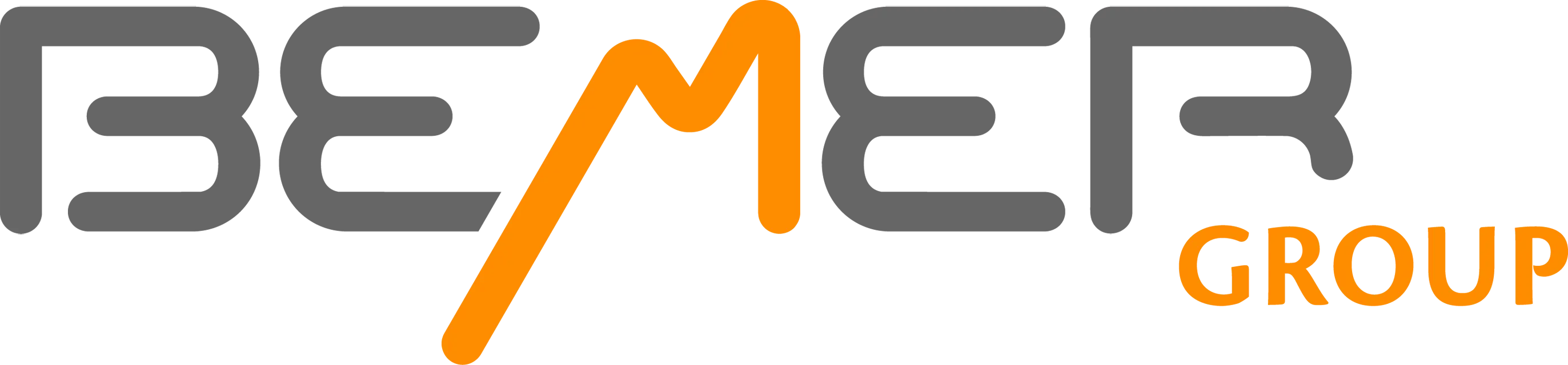 BEMER Group Logo Design