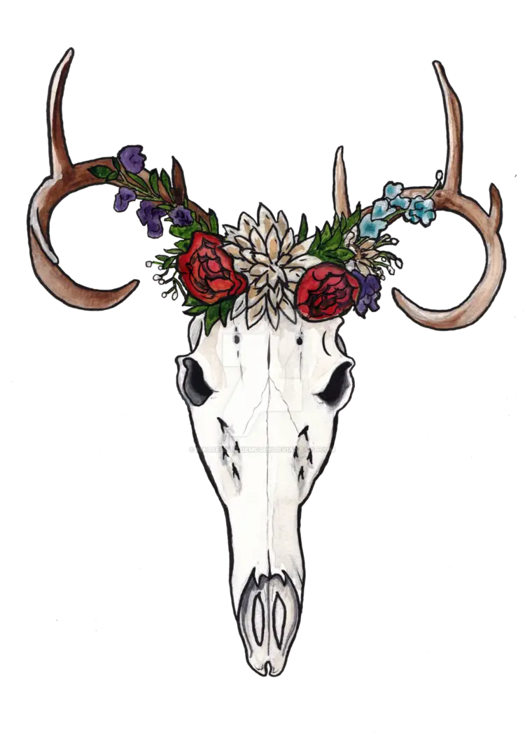 Deer Skull with Flowers Illustration