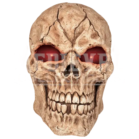 Realistic Human Skull Design