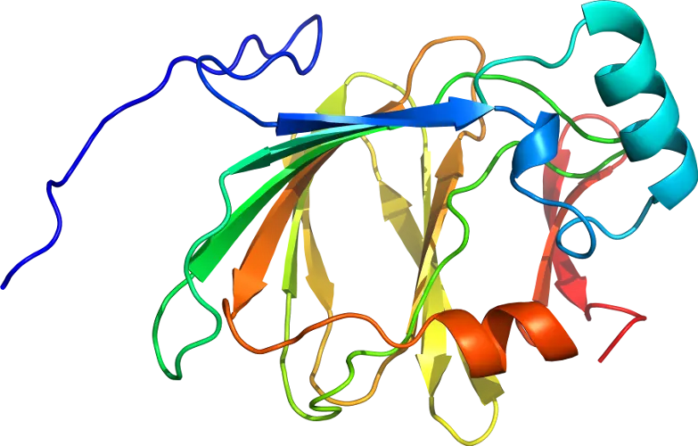 Colorful Protein Structure Representation