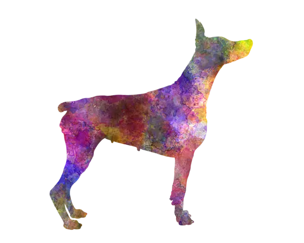 Multicolor Dog Silhouette Art