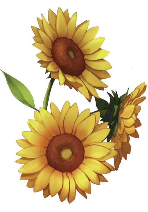 Yellow Sunflowers Digital Illustration