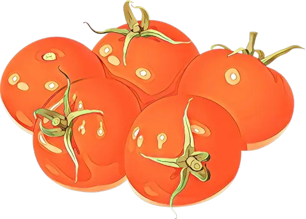 Bunch of Red Ripe Tomatoes Illustration