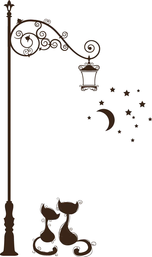 Street Lamp with Cats and Night Sky