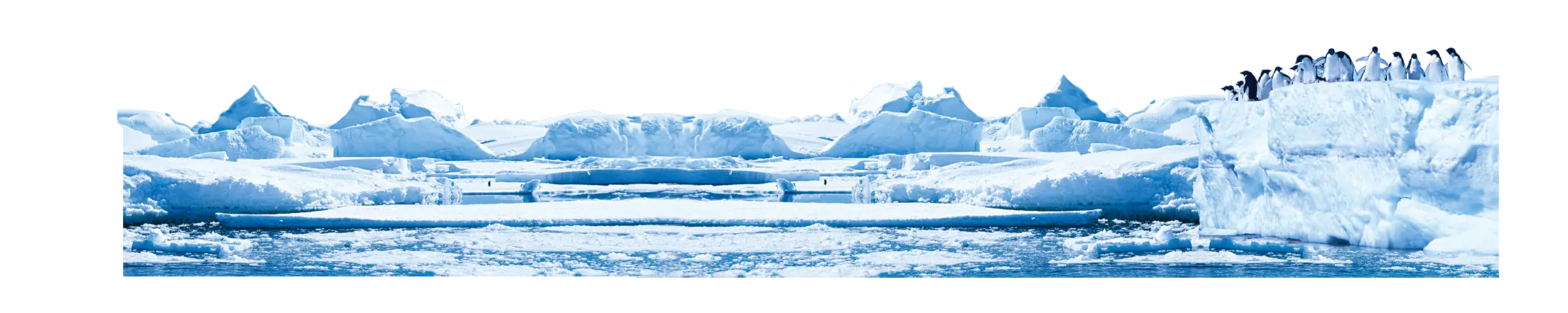 Icebergs and Penguins in the Antarctic Scene