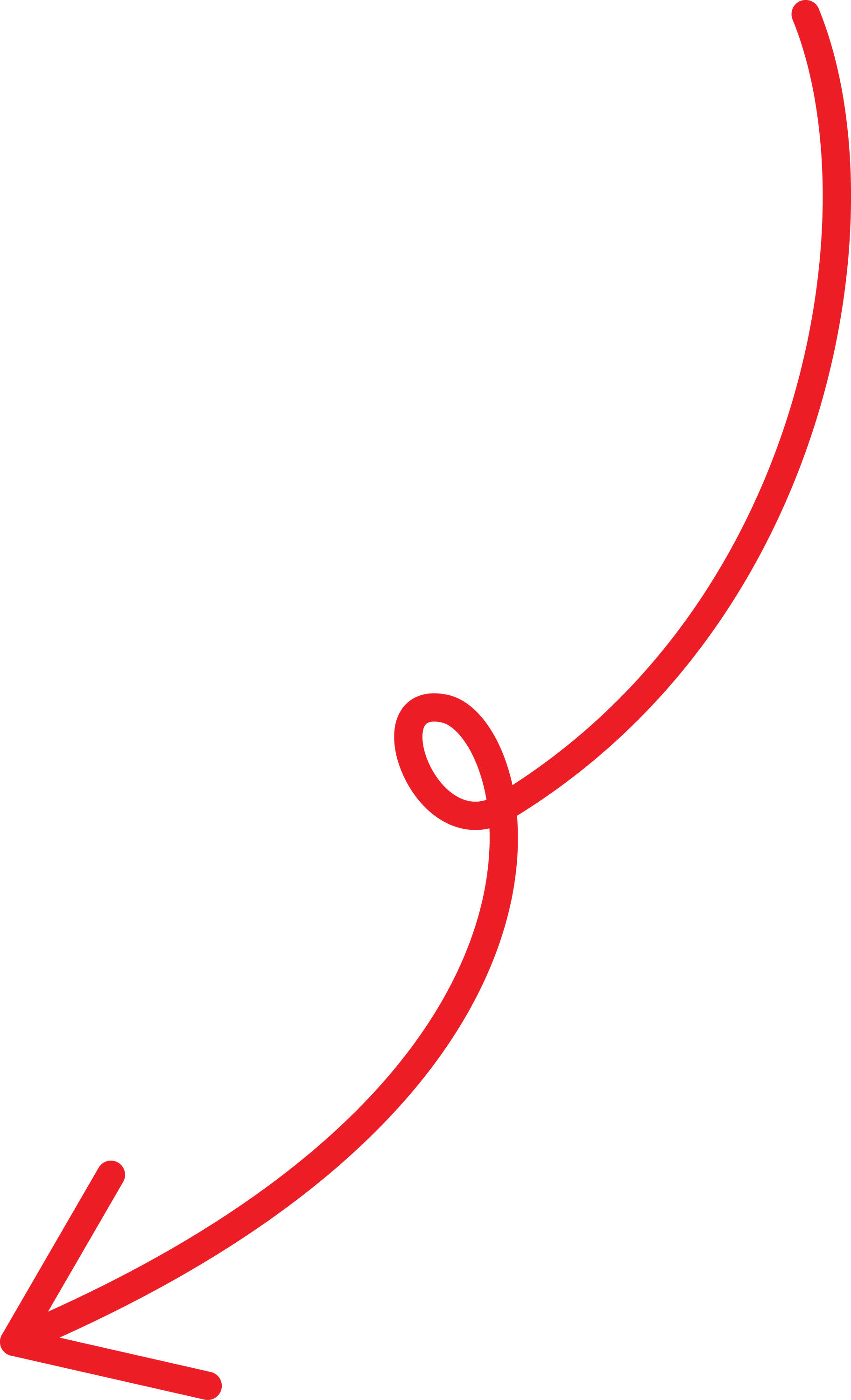 Red Curved Arrow Icon