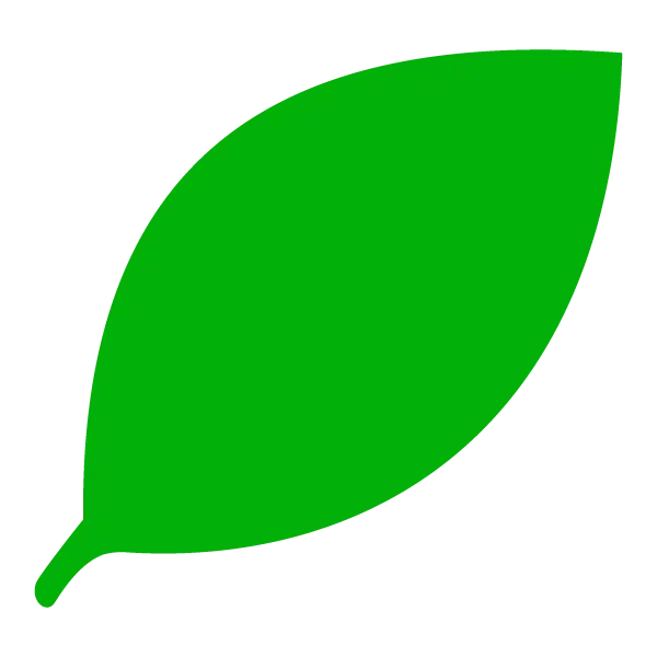 Single Green Leaf Illustration