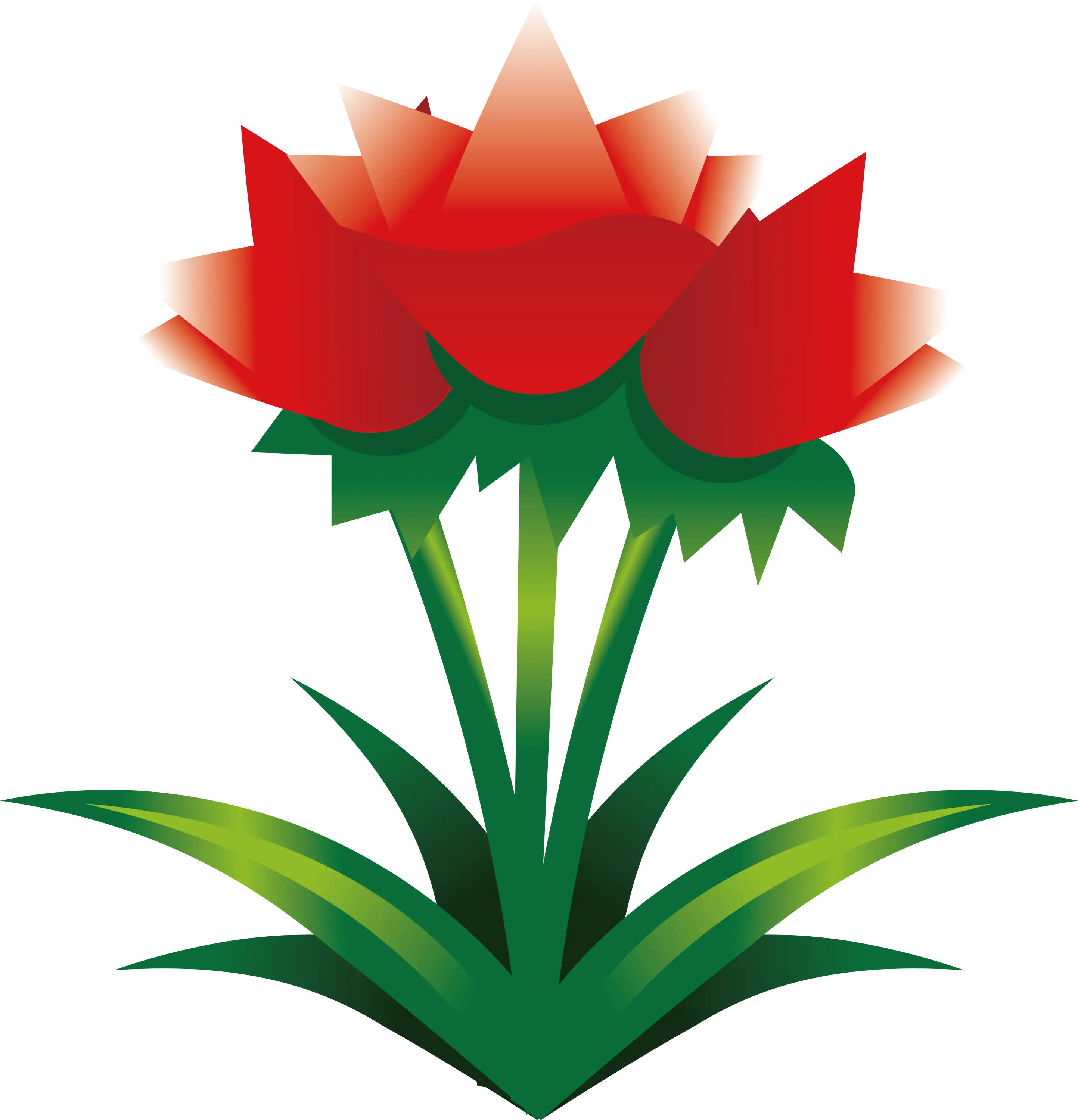 Red Rose Flower Symbol Illustration