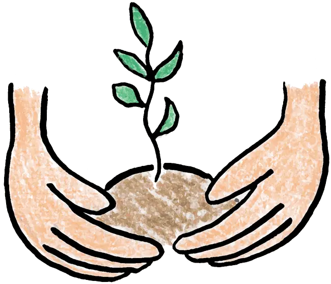 Hands Planting a Green Sapling