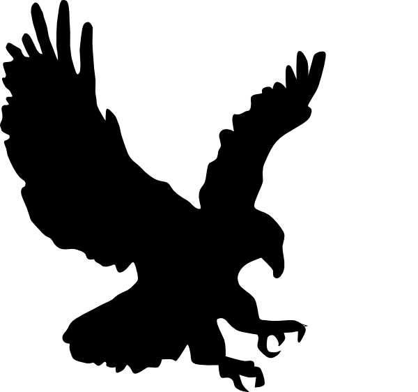 Silhouette of Eagle in Flight