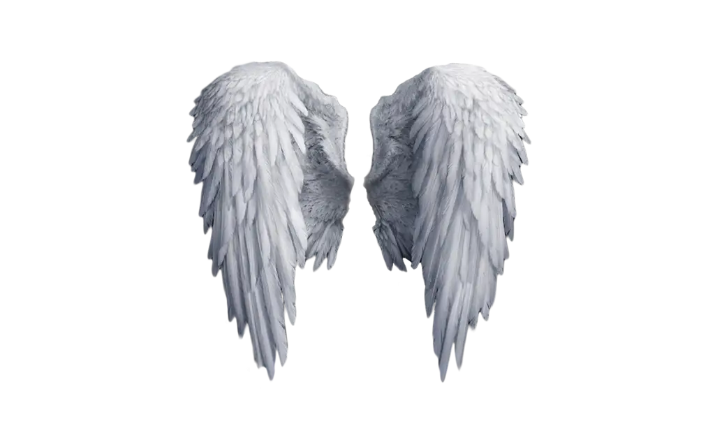 Pair of White Angel Wings