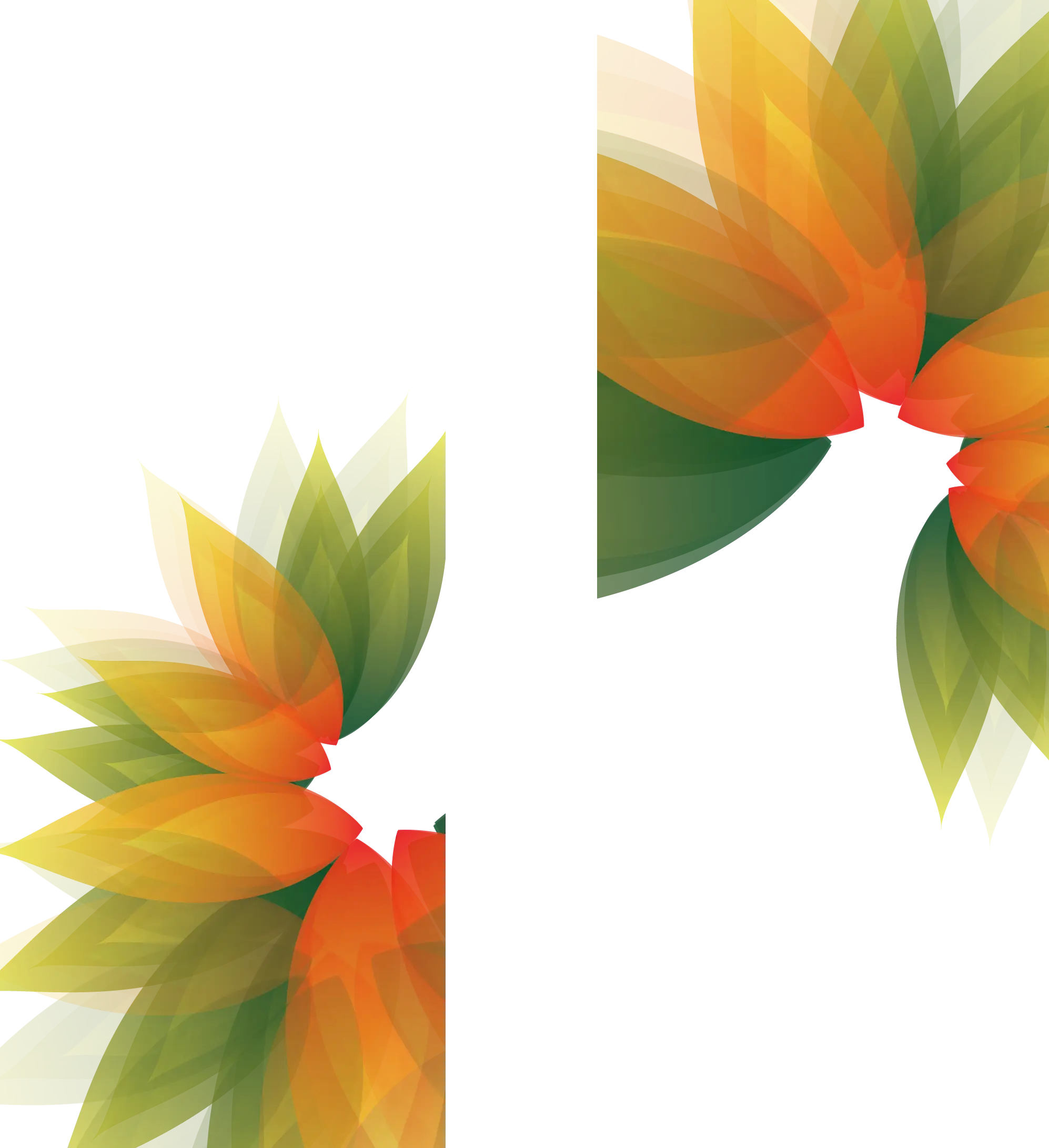 Colorful Leaves Pattern