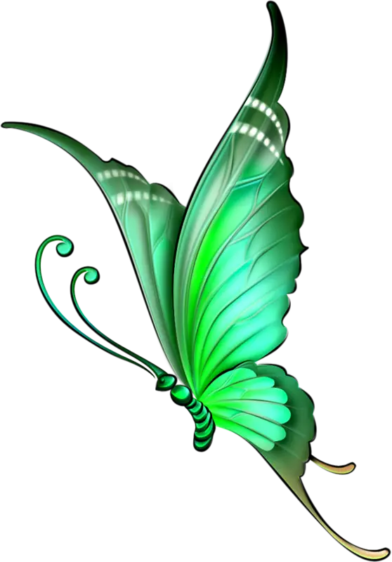 Elegant Green Butterfly Illustration