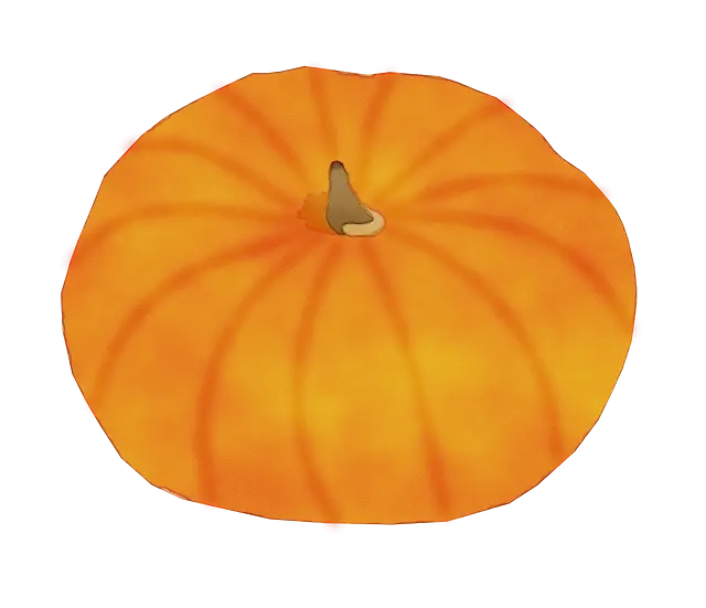 Bright Orange Pumpkin Illustration
