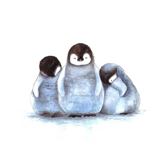 Cute Group of Penguins
