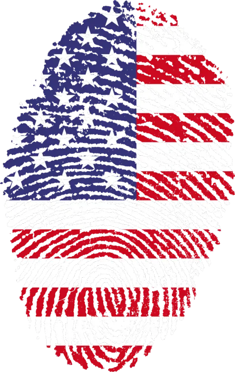 USA Flag Fingerprint Design