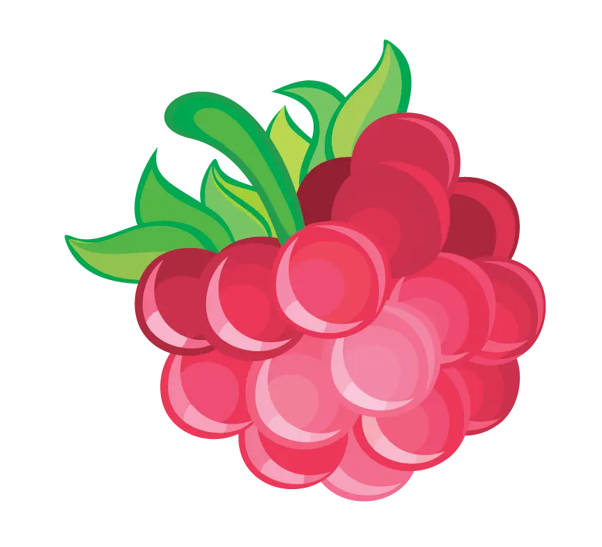 Red Raspberry Cartoon Illustration