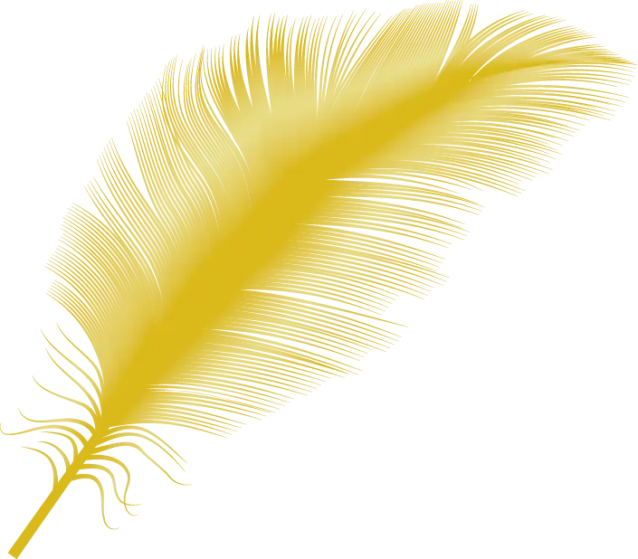 Golden Feather Illustration