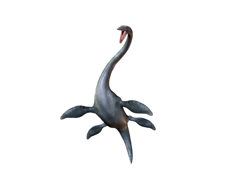 Plesiosaurus Prehistoric Marine Reptile