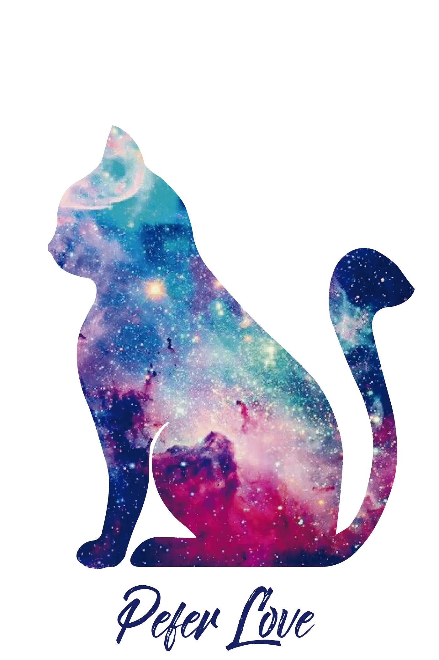 Galaxy Cat Illustration