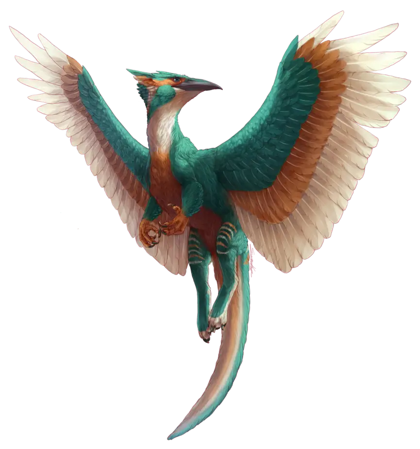 Colorful Prehistoric Bird Illustration