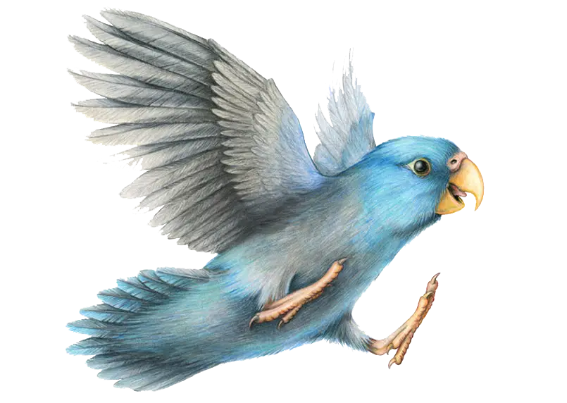 Flying Blue Bird Illustration