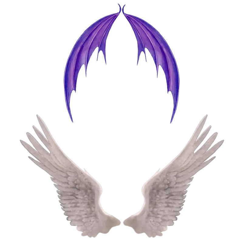 Angel and Demon Wings Illustration