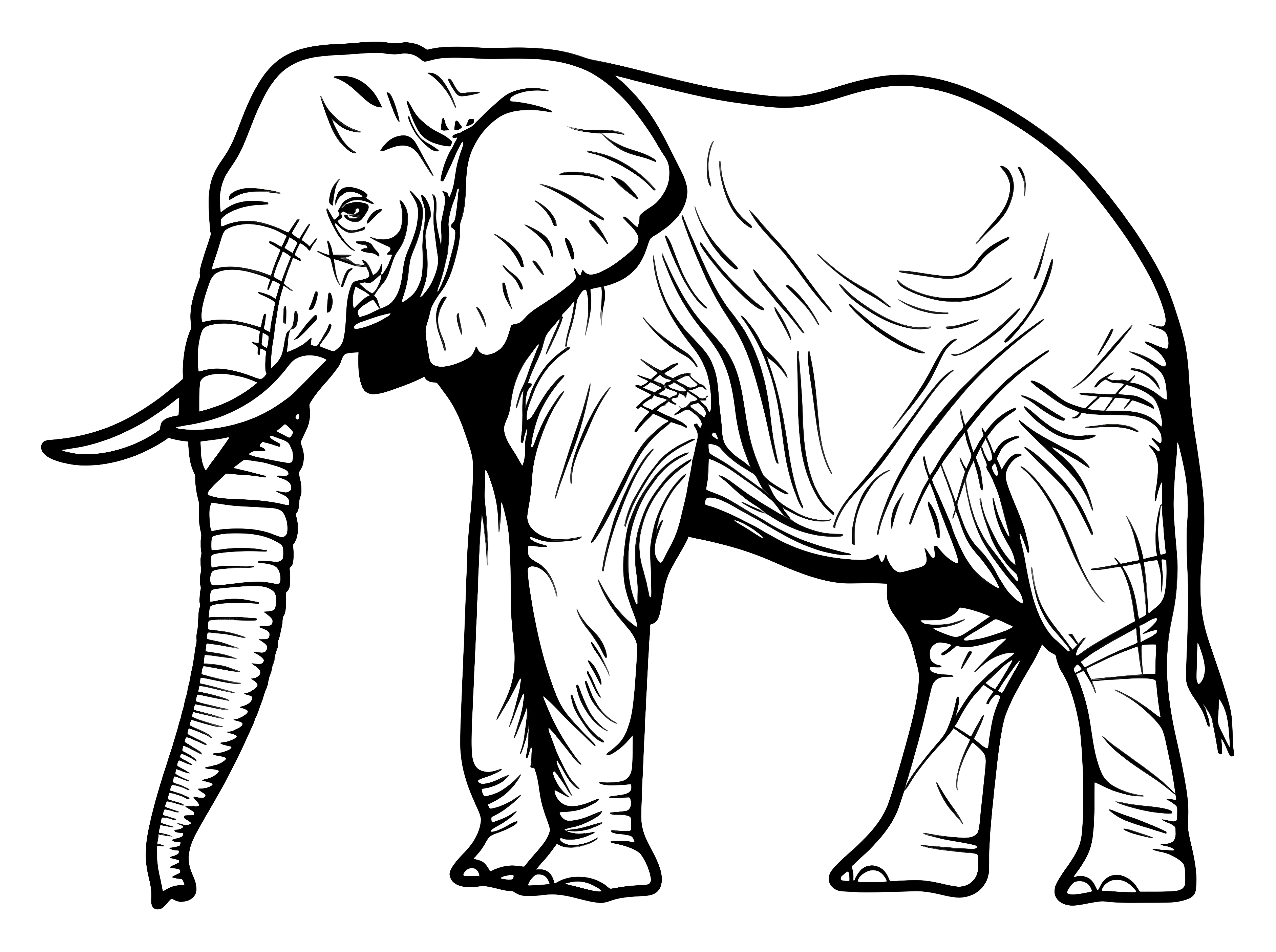 Detailed Elephant Sketch in Monochrome