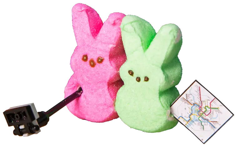 Colorful Peeps Bunnies with Map