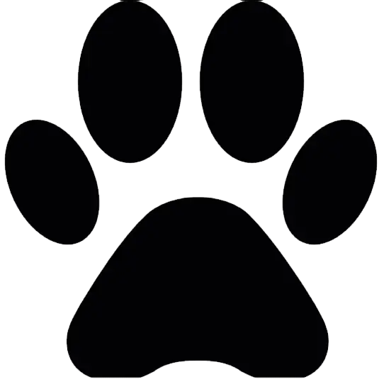 Black Paw Print Icon