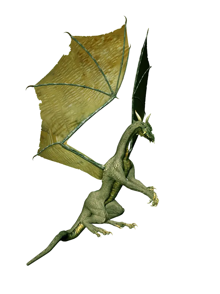 Flying Dragon Illustration