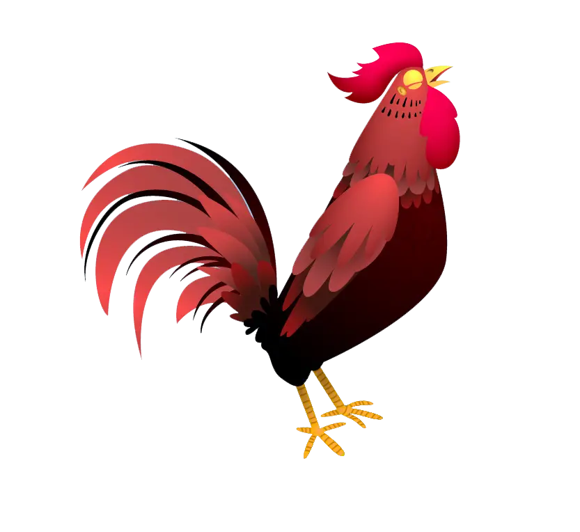 Red Rooster Illustration