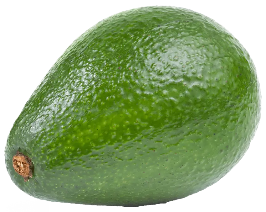 Fresh Green Avocado