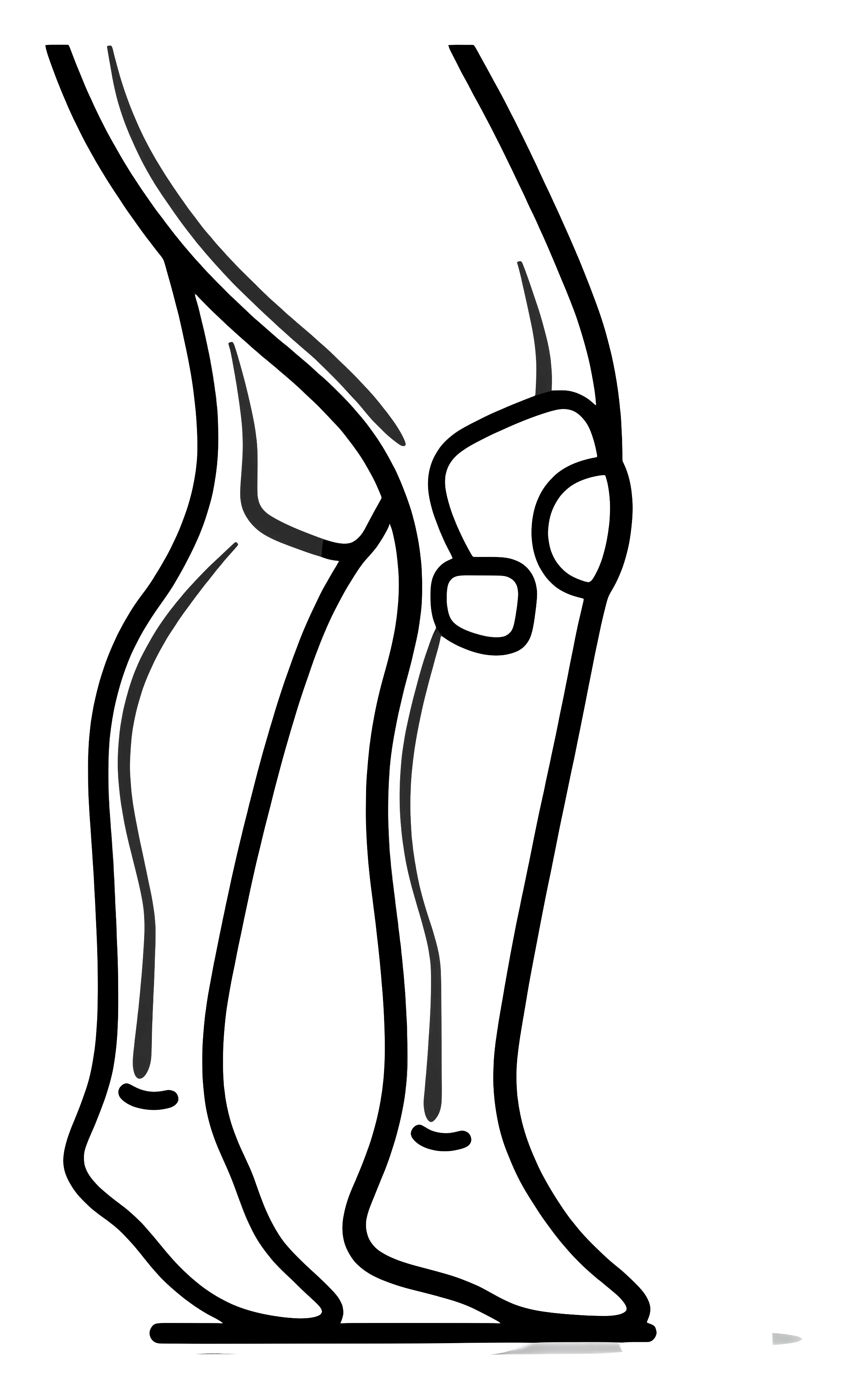 Line Drawing of Human Legs