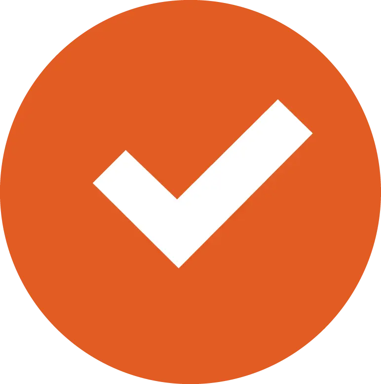 Orange Check Mark Icon in Circular Design