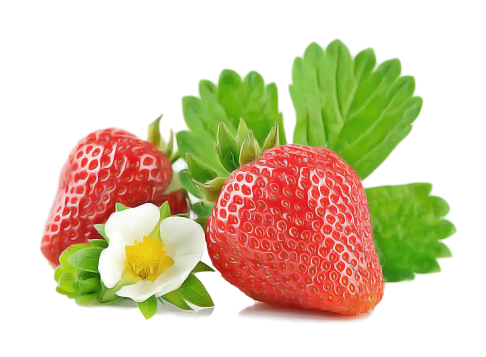 Strawberries with Leaves and White Flower