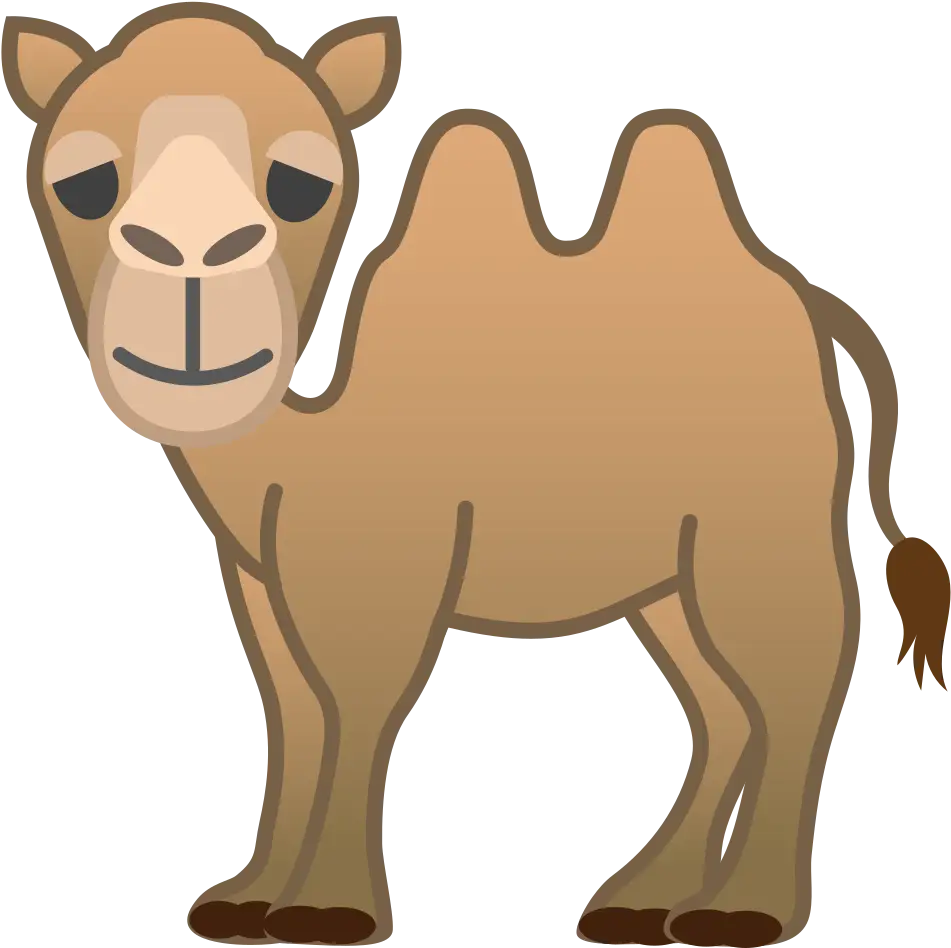 Cartoon Illustration of Camel with Humps