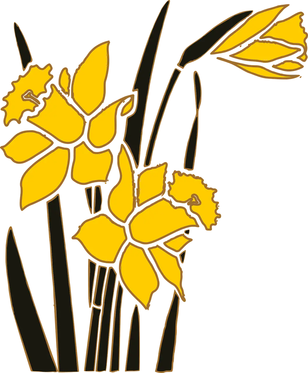 Yellow Daffodils Illustration