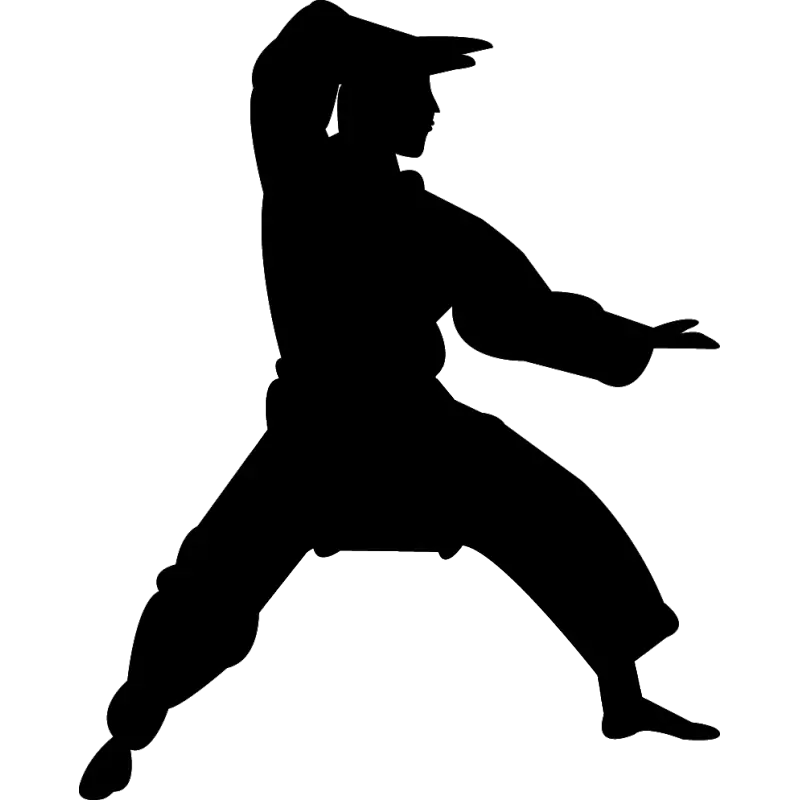 Karate Silhouette in Fighting Stance