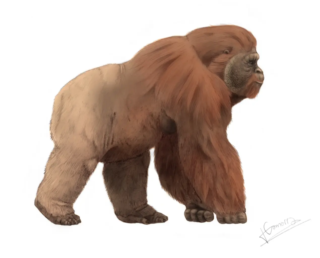Prehistoric Bear Illustration
