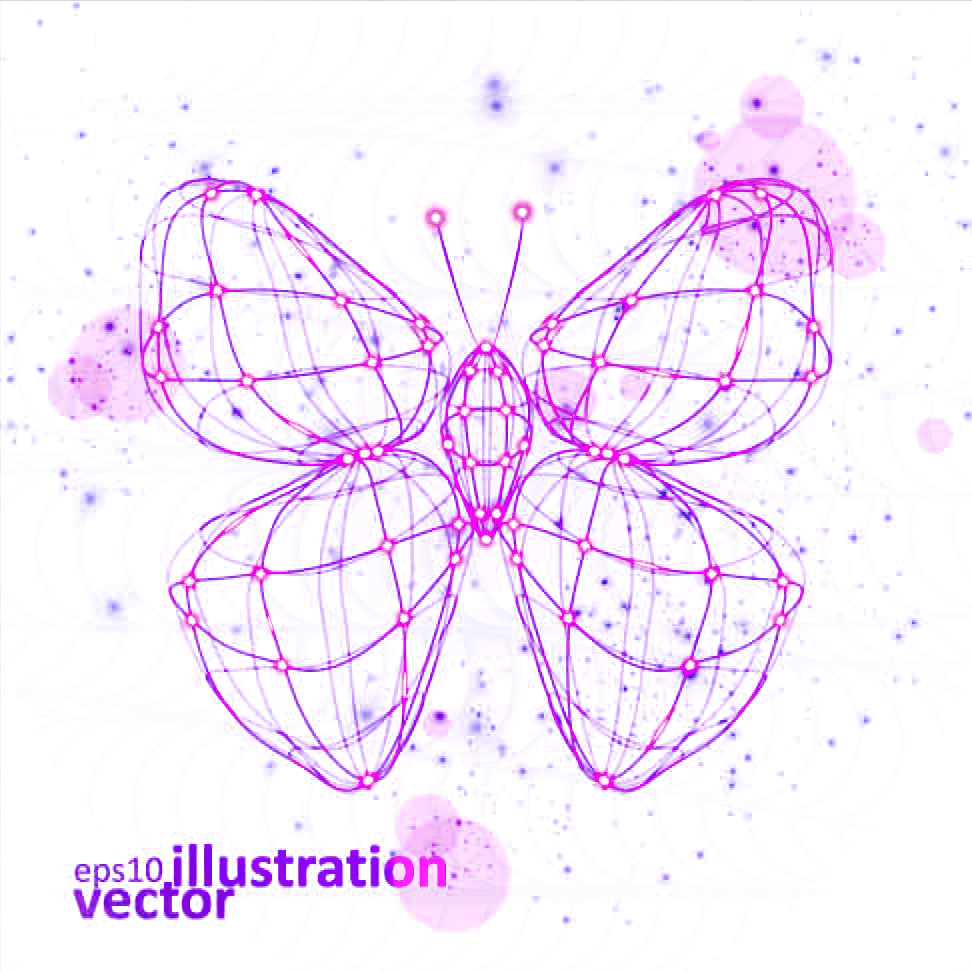 Wireframe Butterfly