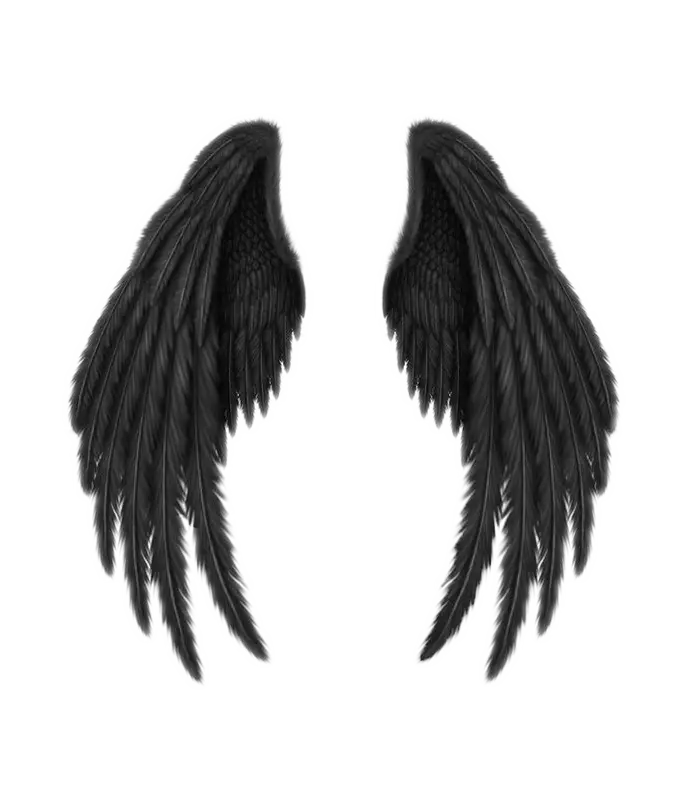 Black Angel Wings Illustration