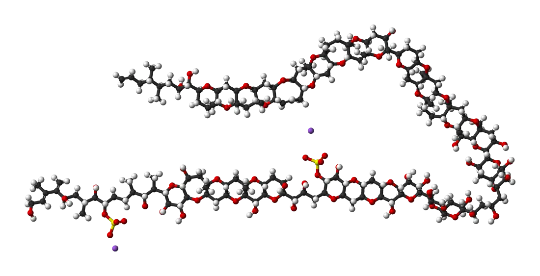 Complex Molecular Structure Diagram