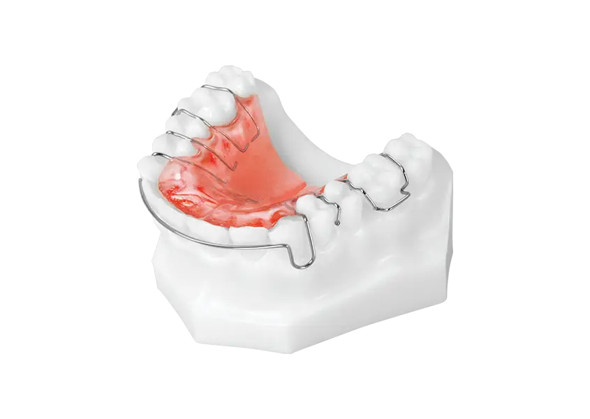 Dental Orthodontic Model for Medical Education
