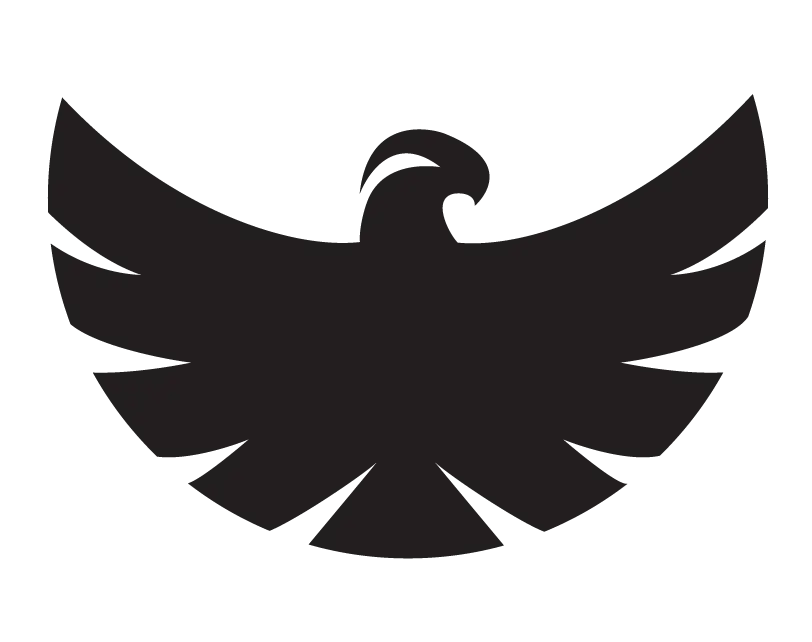 Black Silhouette of an Eagle in Flight