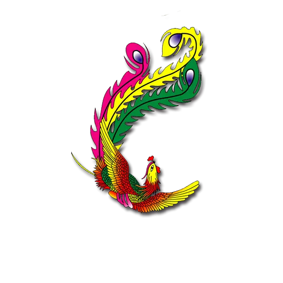 Bright Colorful Bird