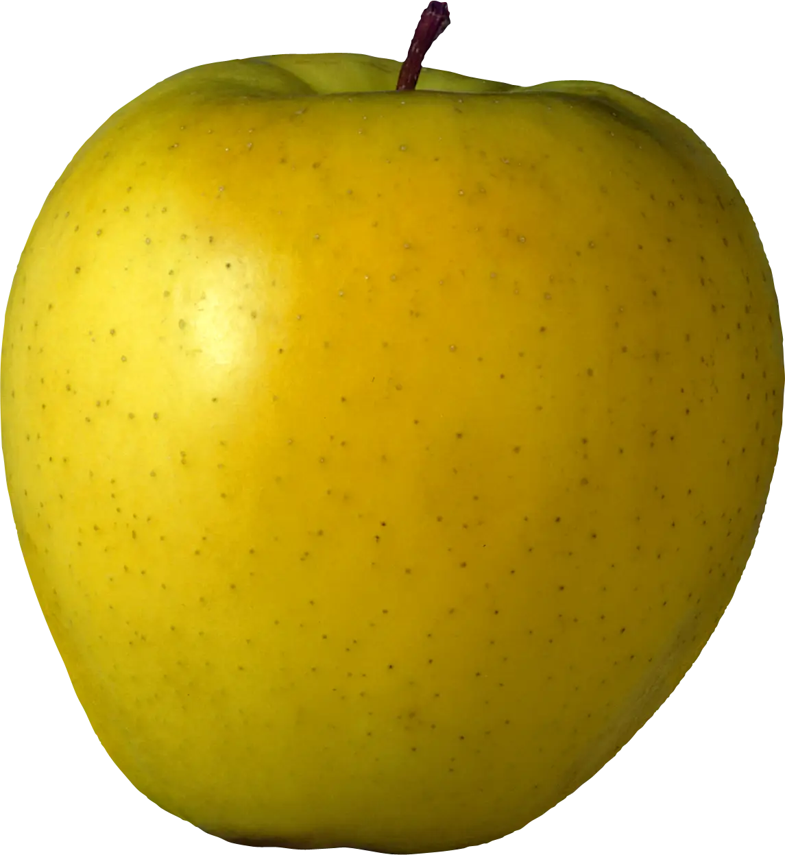 Fresh Yellow Apple